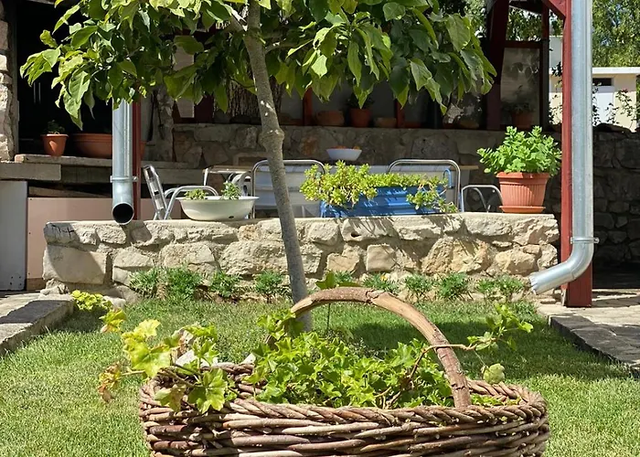 Bozena Jelusic Appartamento